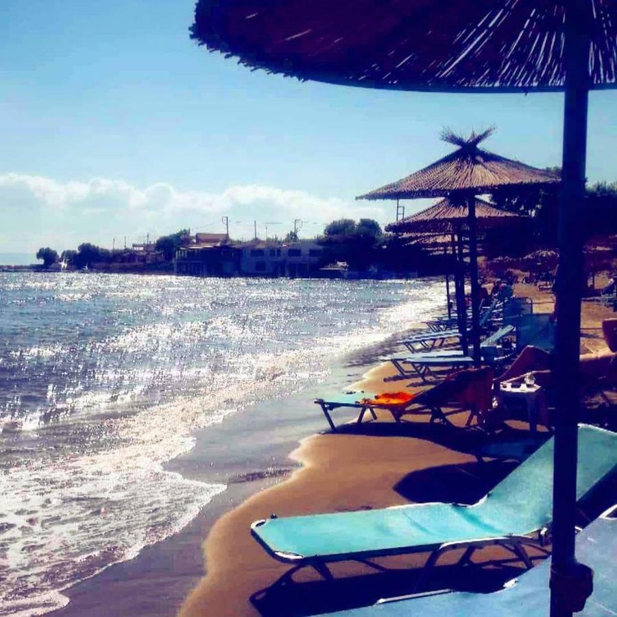 Helonata Apartments Arkúdi Kültér fotó